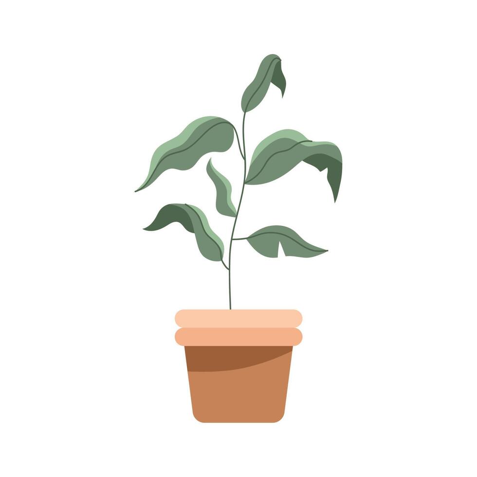 houseplant in pot 11453853 Vector Art at Vecteezy