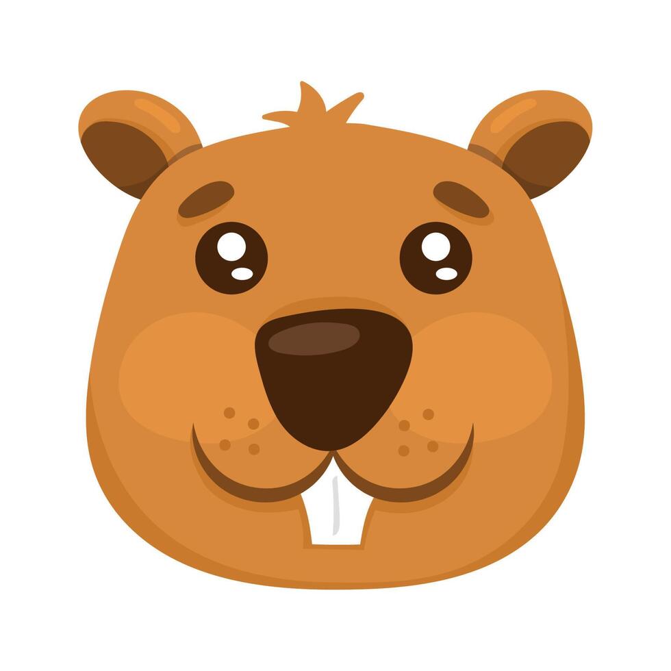 squirrel woodland animal head vector