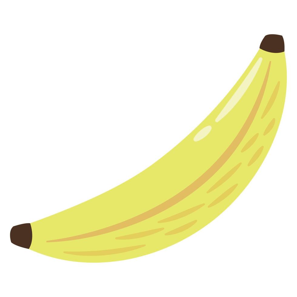 fresh banana fruit healthy vector
