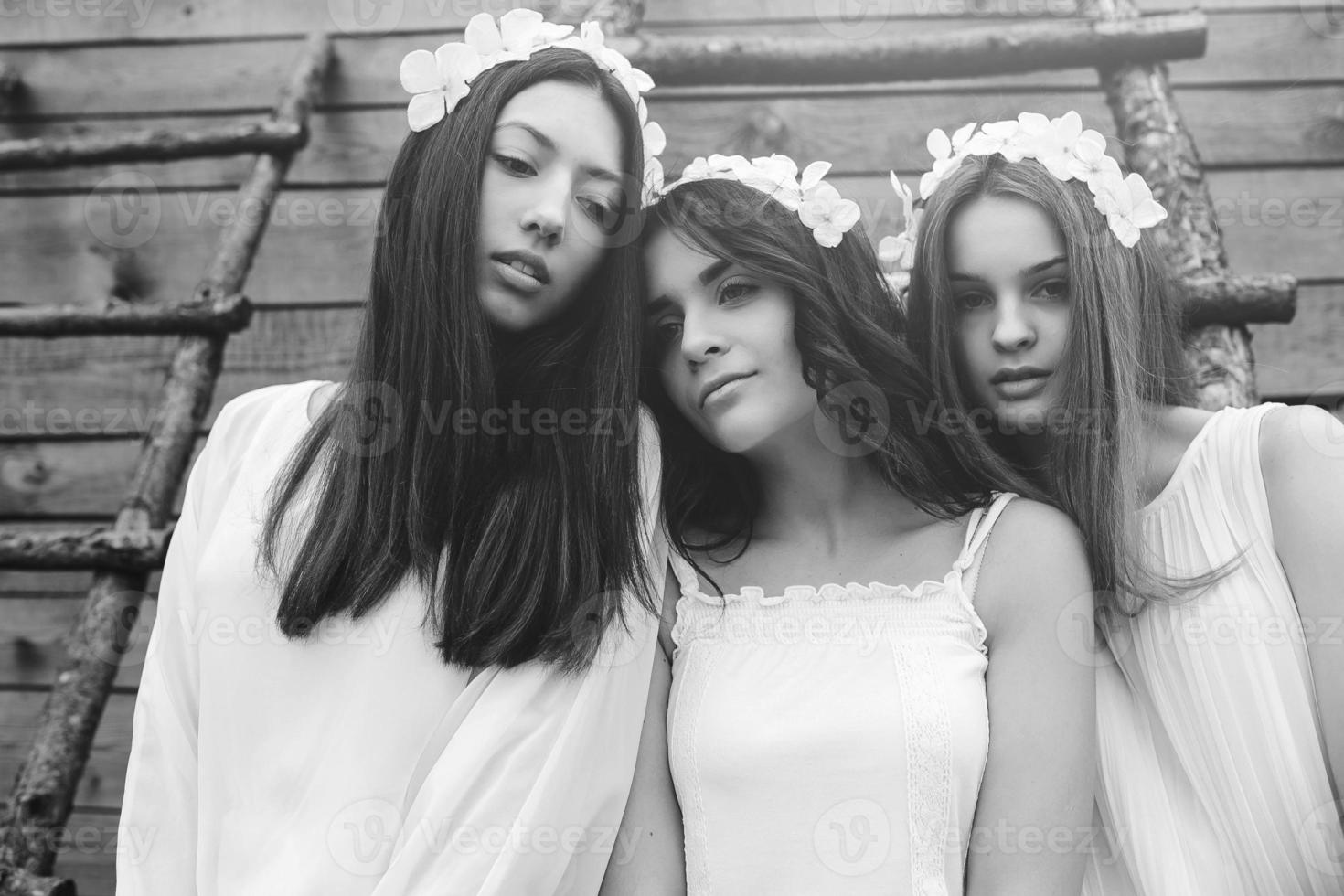 Three charming girls on a ladder near a wooden house photo