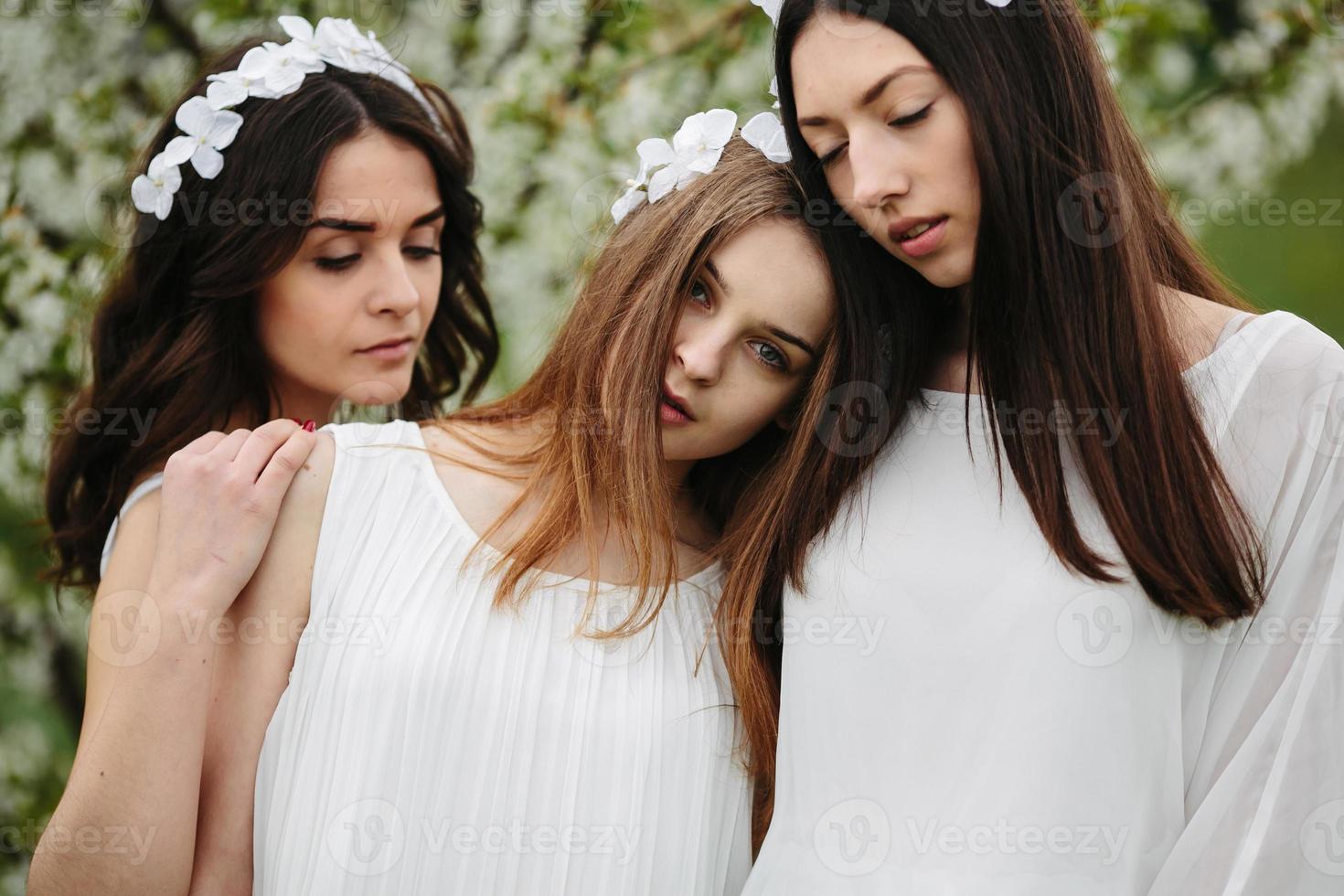 Three charming girls  in a garden photo