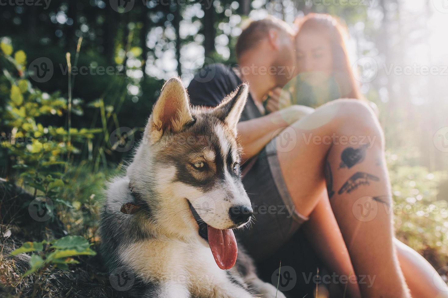 beautiful couple resting in the forest photo