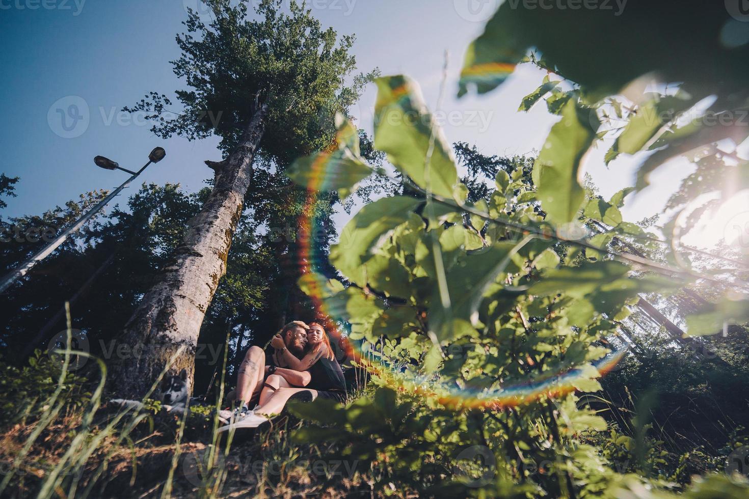 hermosa pareja sentada en un bosque cerca del árbol foto