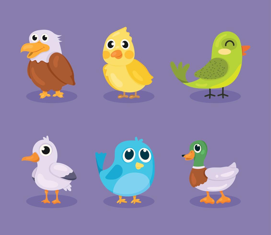 six cute birds icons vector