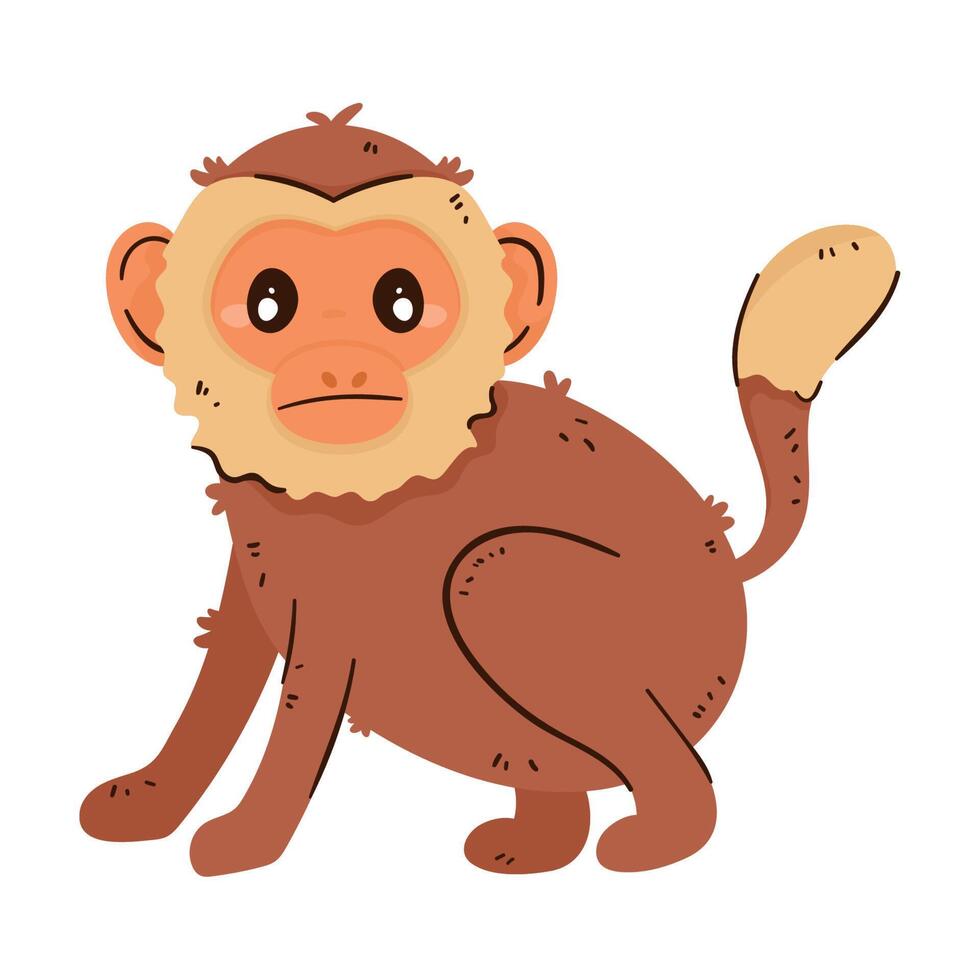 tamarin monkey animal wild vector