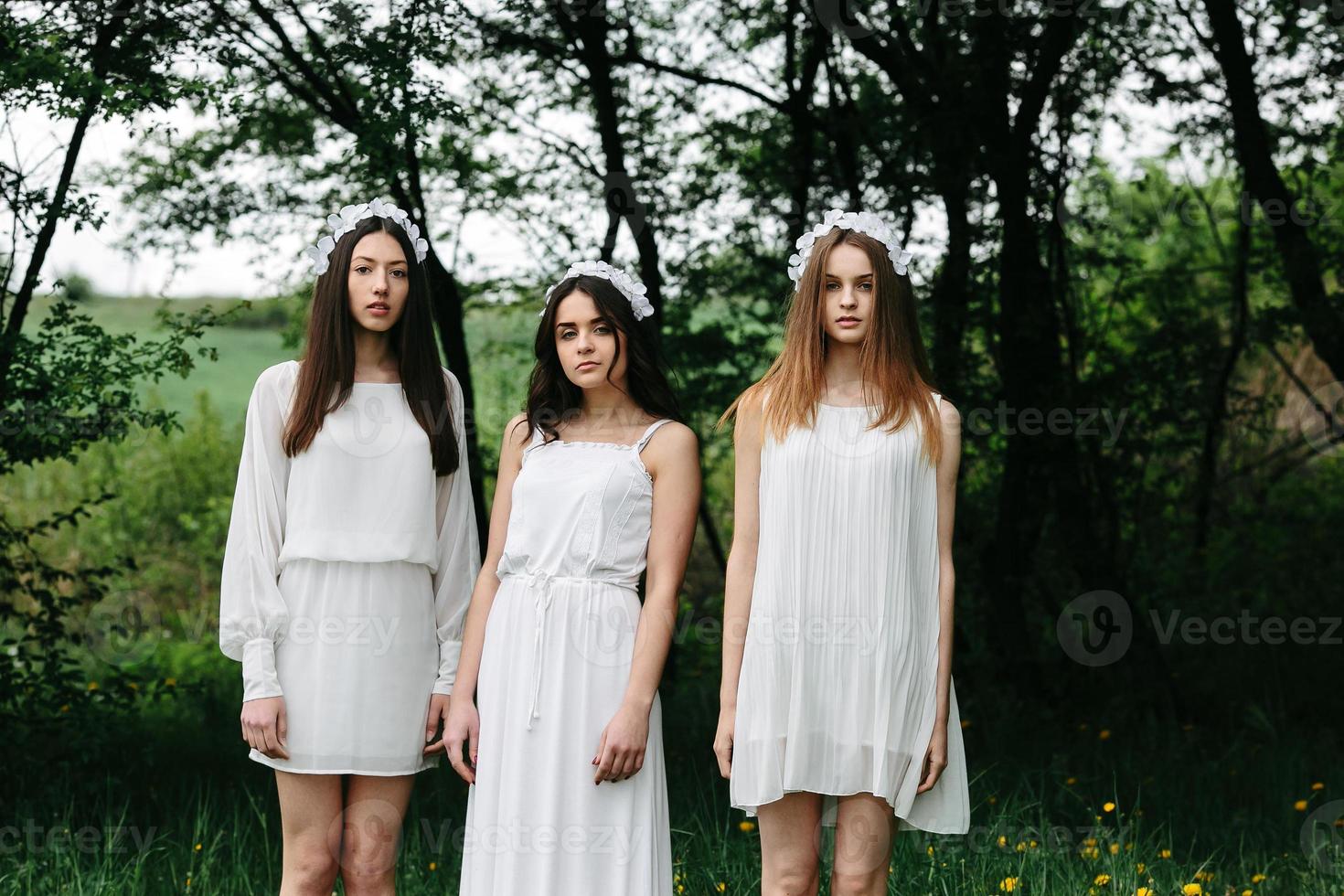 Three charming girls  near a wooden house photo