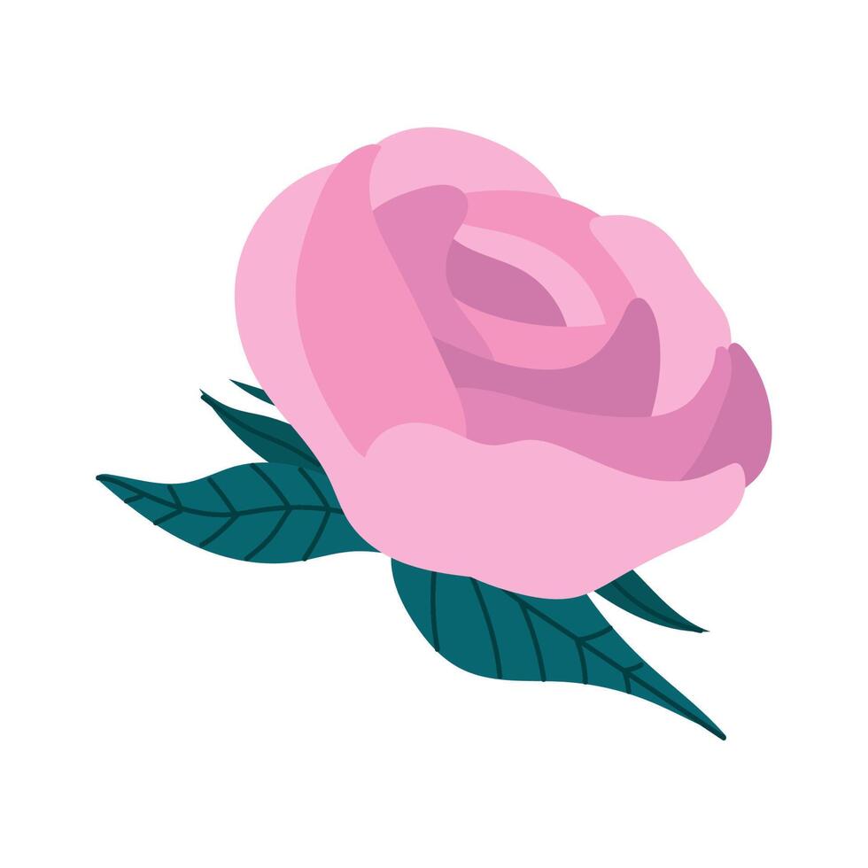 rosa rosa jardín de flores vector