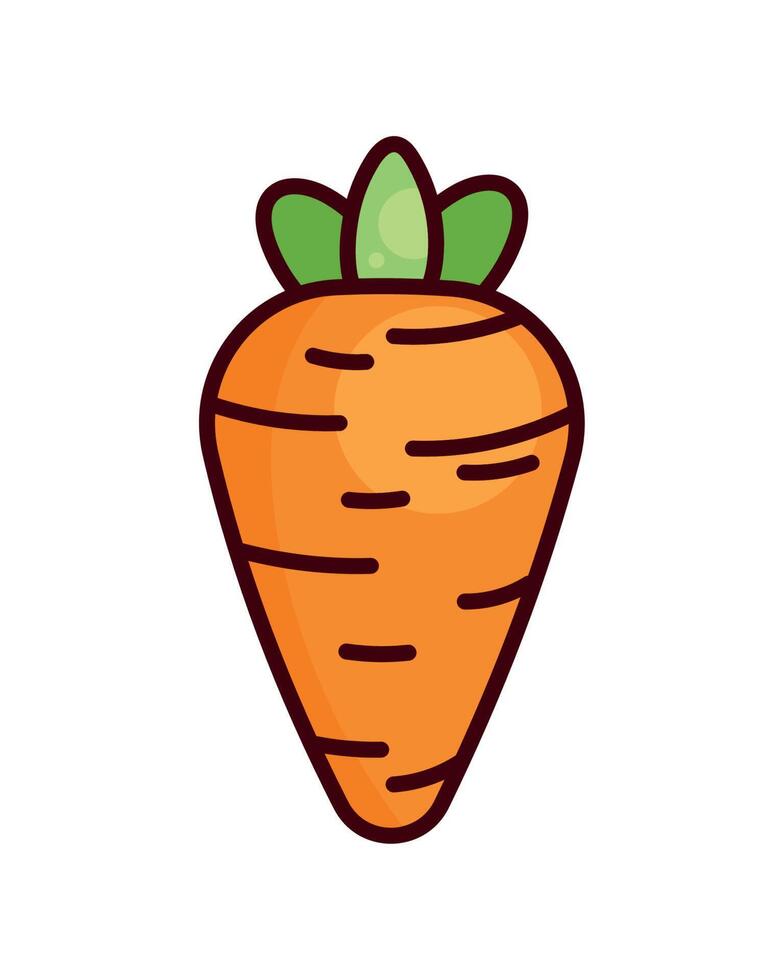 carrot fresh vegetable vector