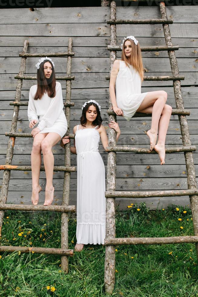 Three charming girls on a ladder near a wooden house photo