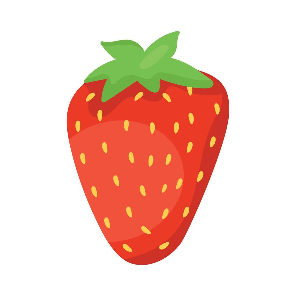 fresh strawberry fruit vector