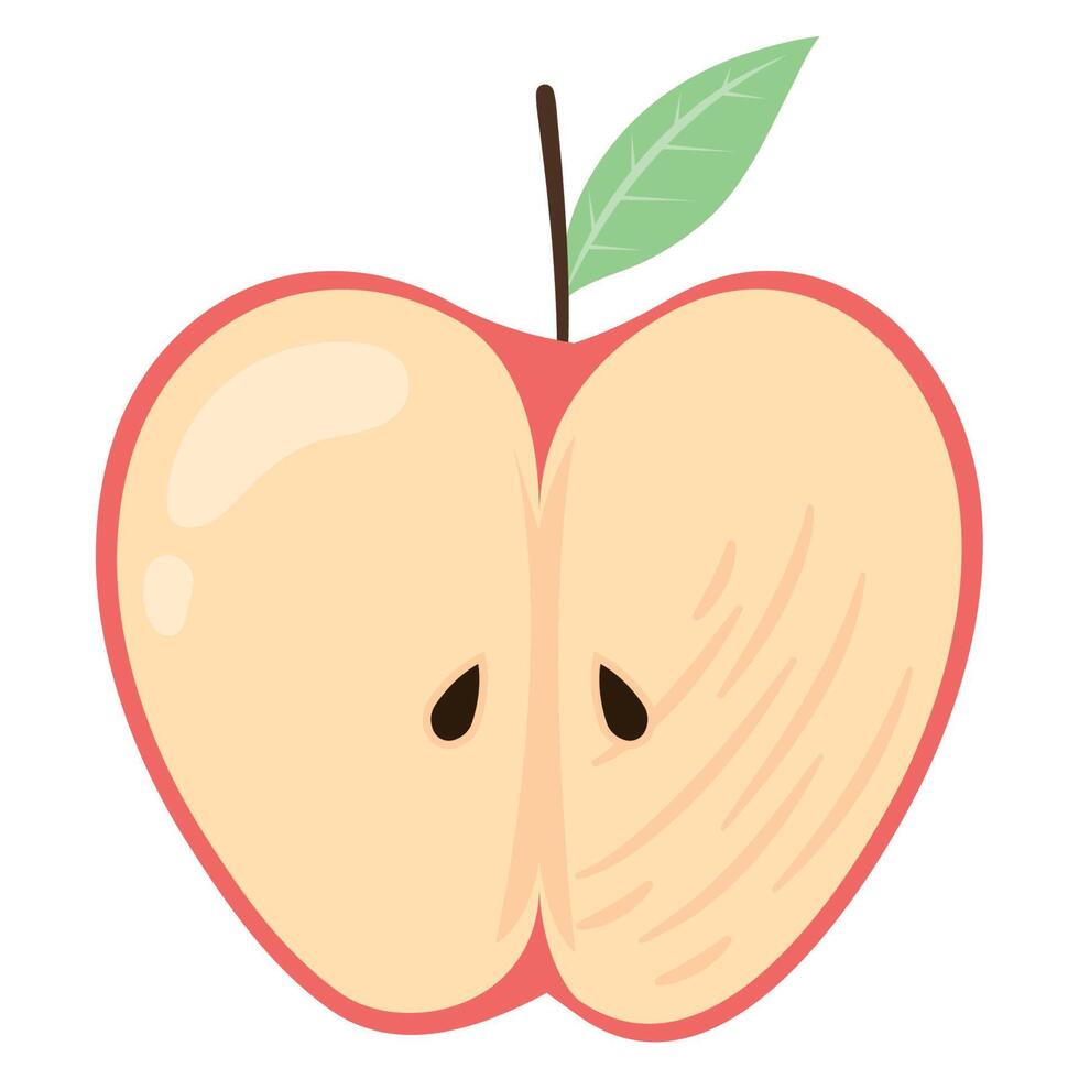 half apple fresh fruit healthy vector