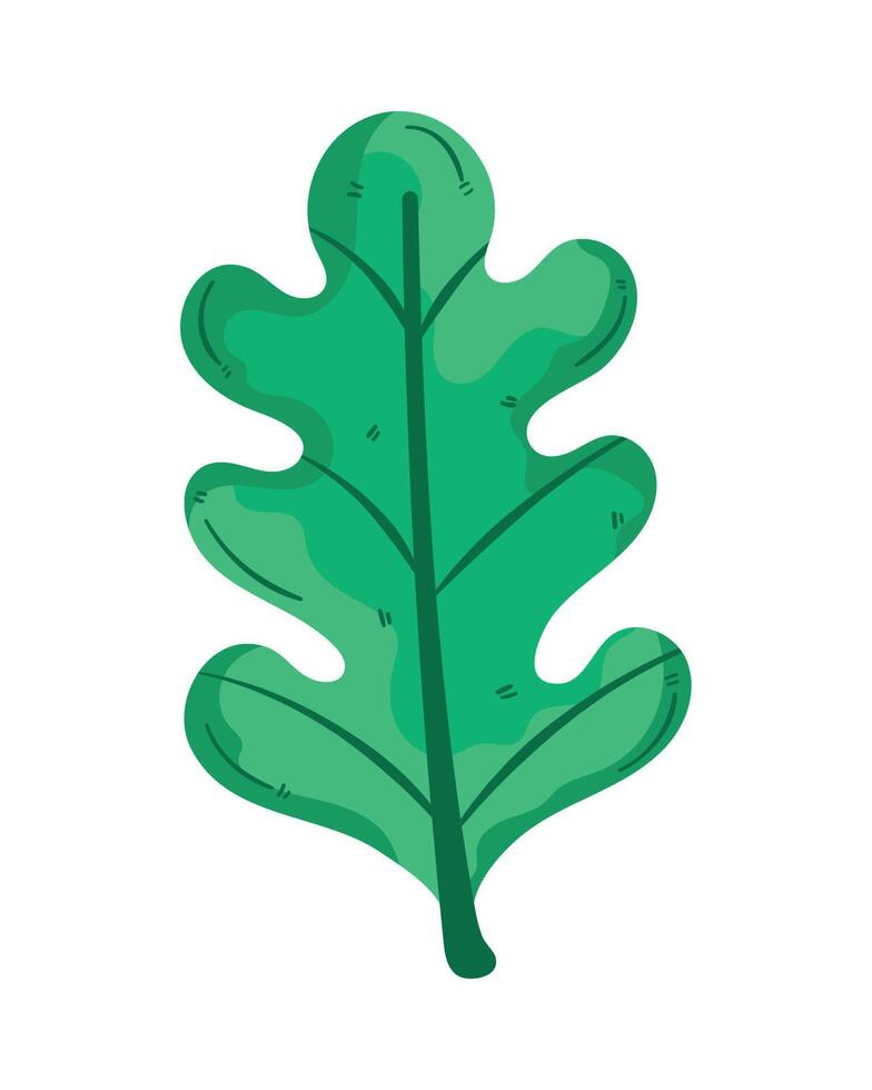 follaje de la planta de hoja botánica vector