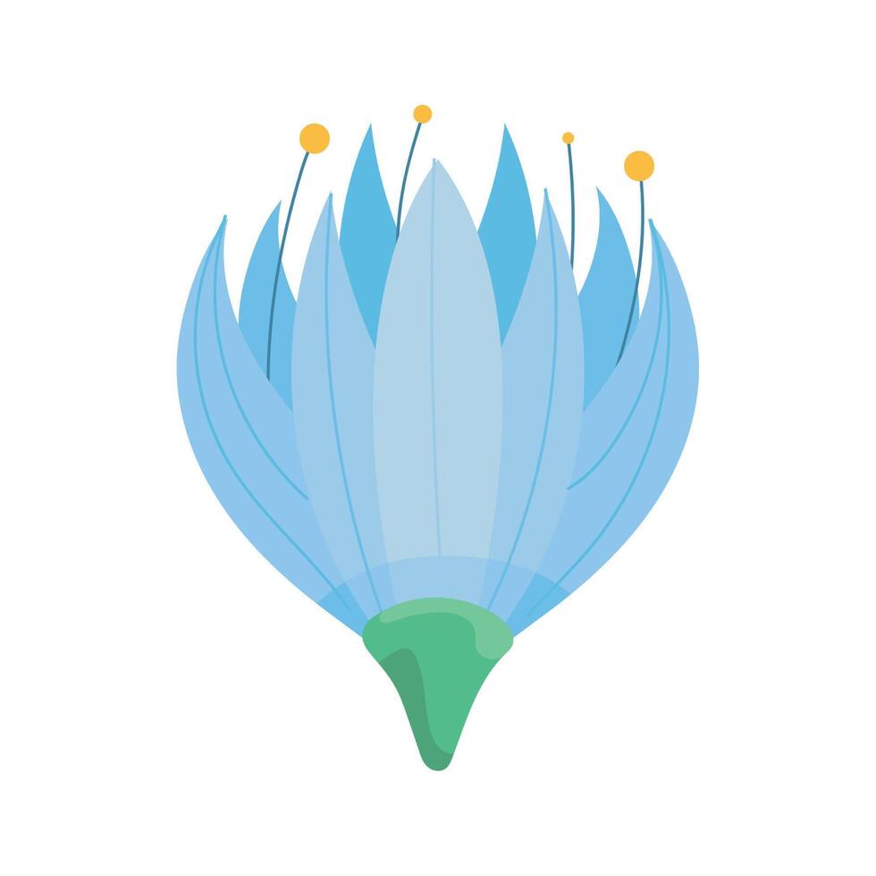 blue flower with pistils vector