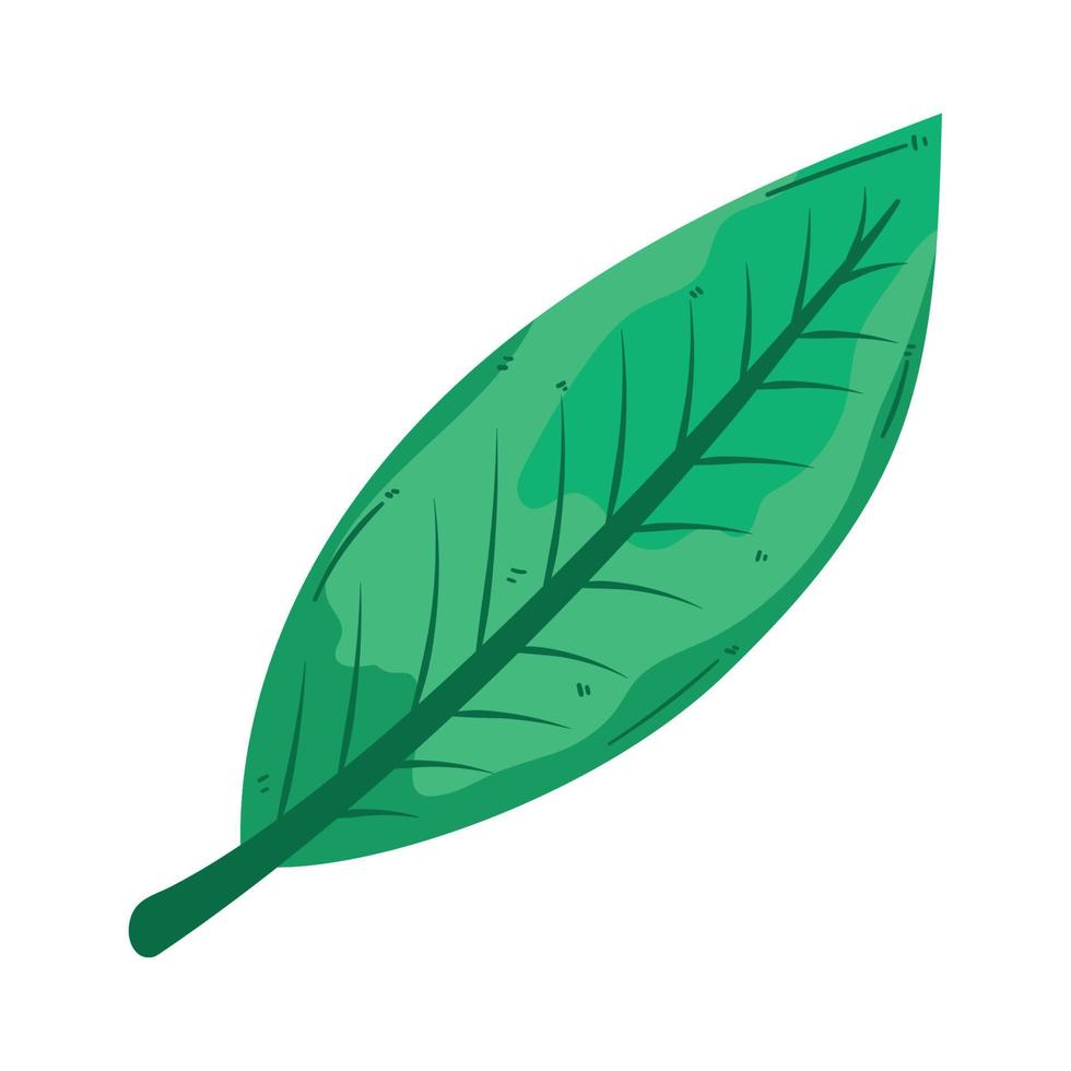 classic leaf plant foliage vector