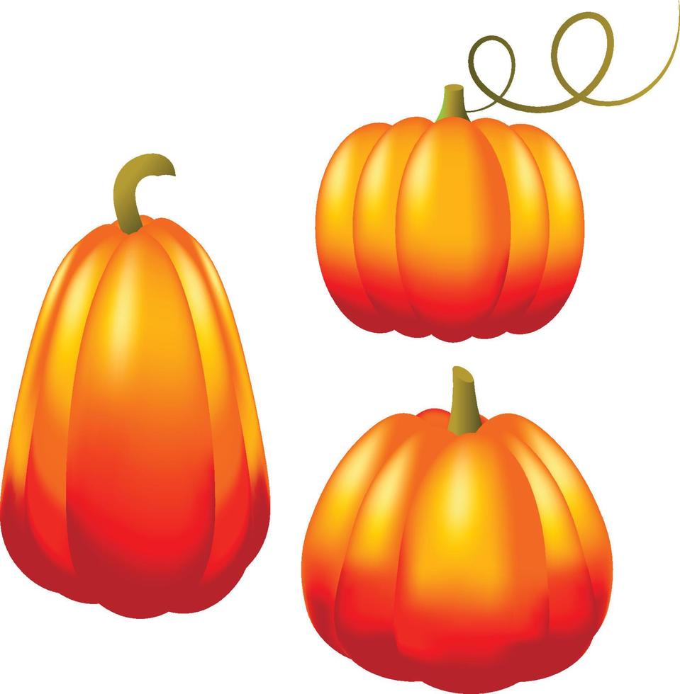 Set of orange vector pumpkin