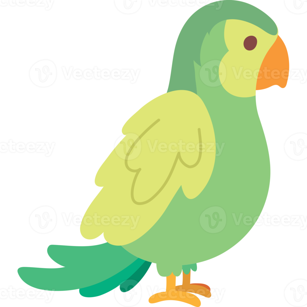 Parrot cartoon animal png clipart icon