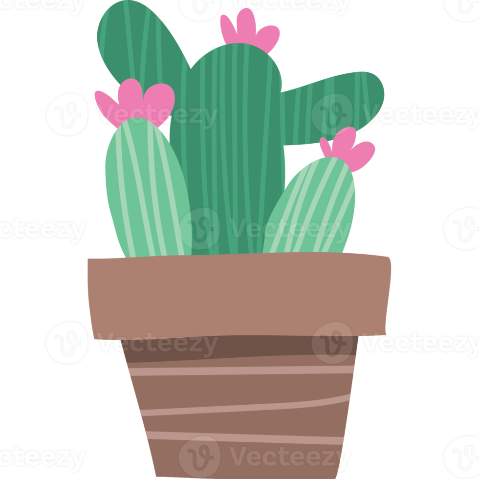 Cactus cartoon icon clipart png