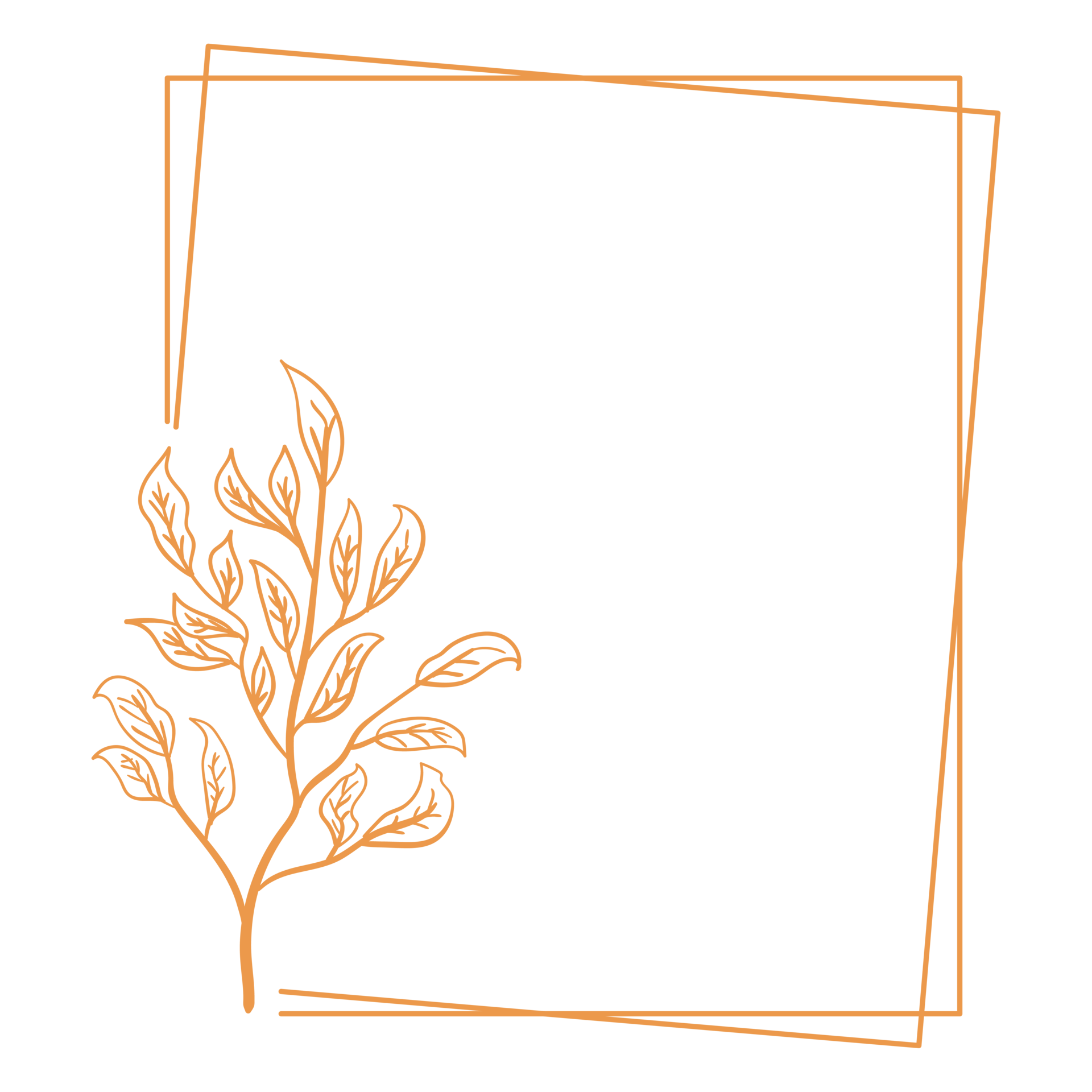 Floral Photo Frame Template Frame Template floral-photo-frame-template-frame-template