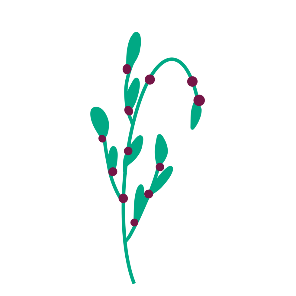 Vine and Berries Clip Art png