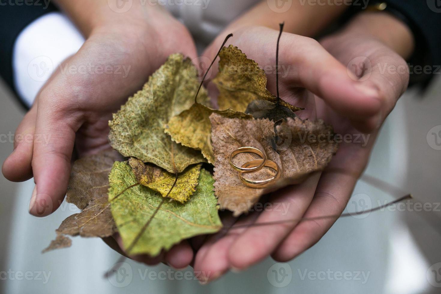 Bride and groom holding wedding rings and autumn leaves in hands photo