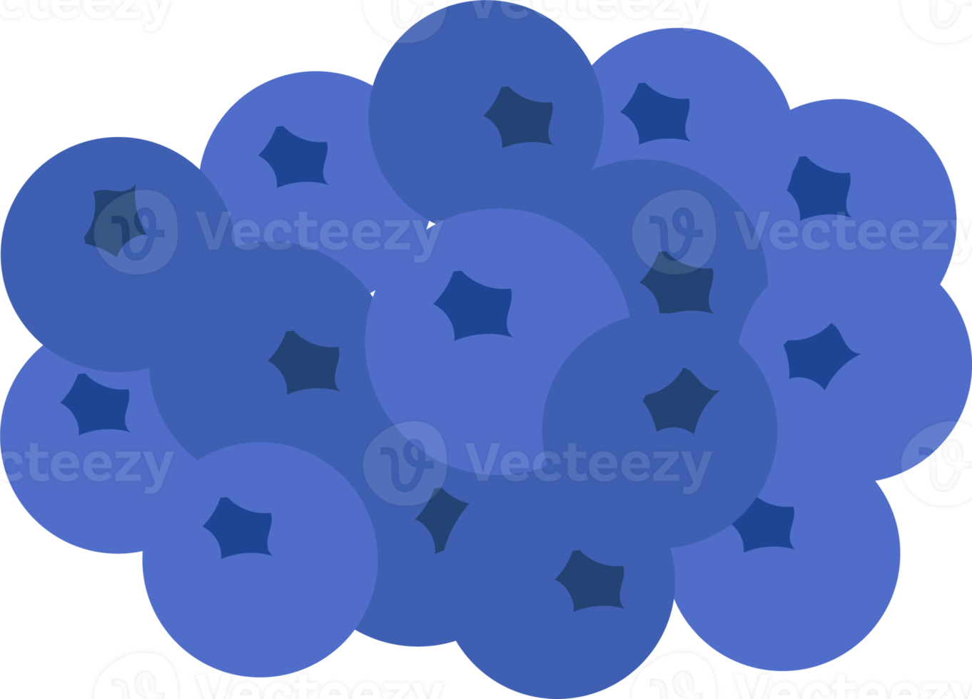 fresh blueberry, icon png