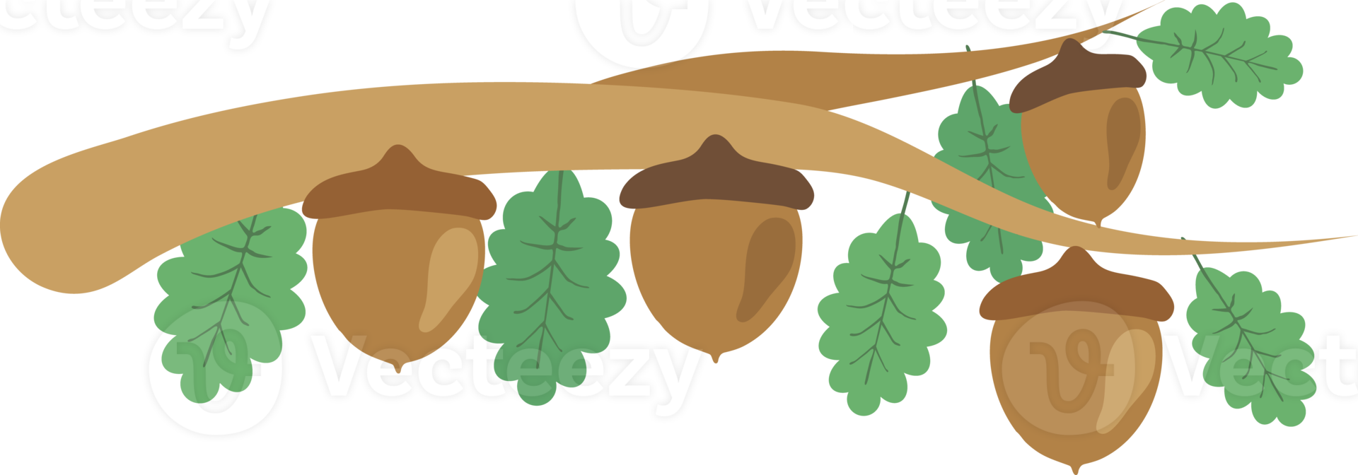 autumn acorn Icon png