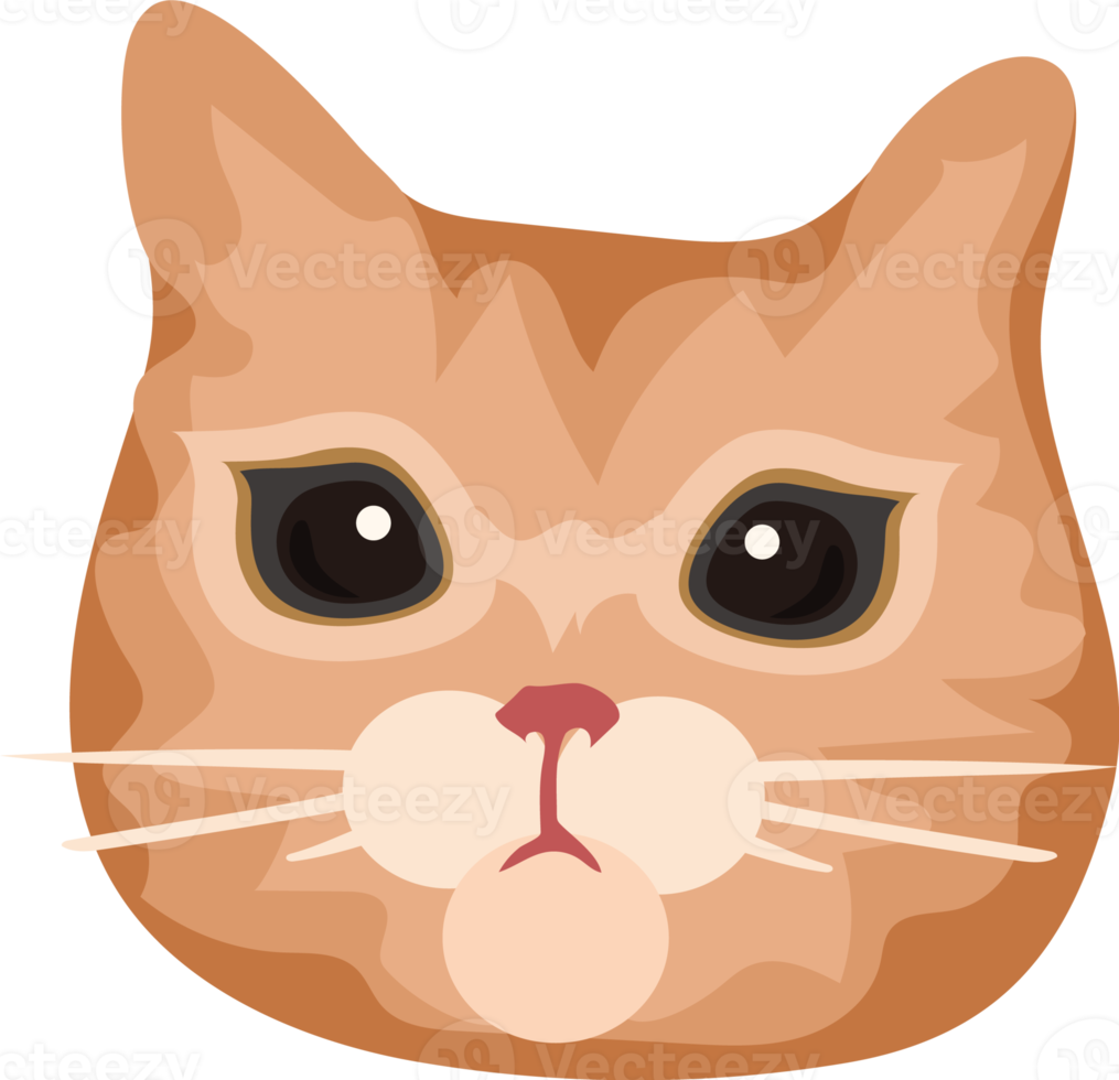 schattig kattengezicht png