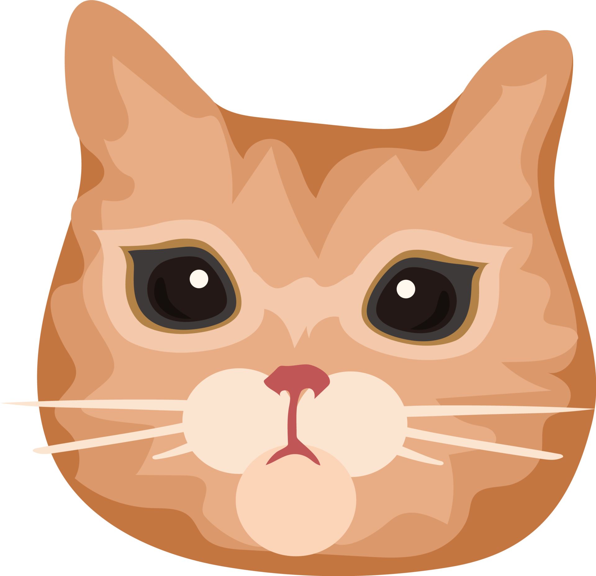 Cute Cat Face 11459655 PNG cute-cat-face-11459655-png