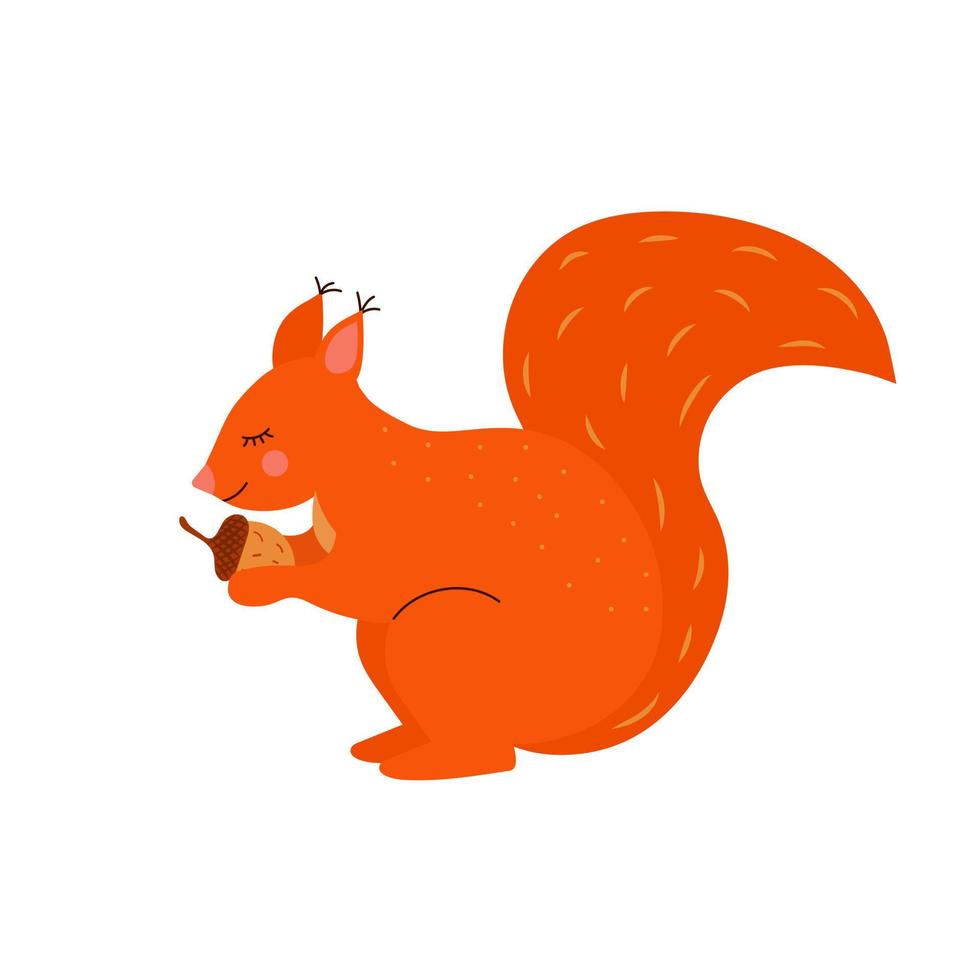 Red Fluffy Squirrel with Bushy Tail Holding Acorn. Cartoon forest character. vector