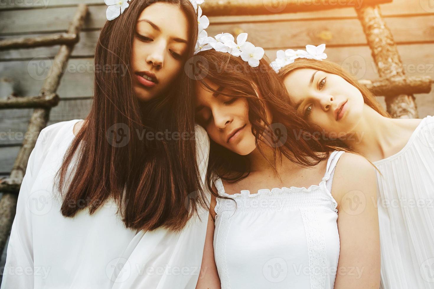 Three charming girls on a ladder near a wooden house photo