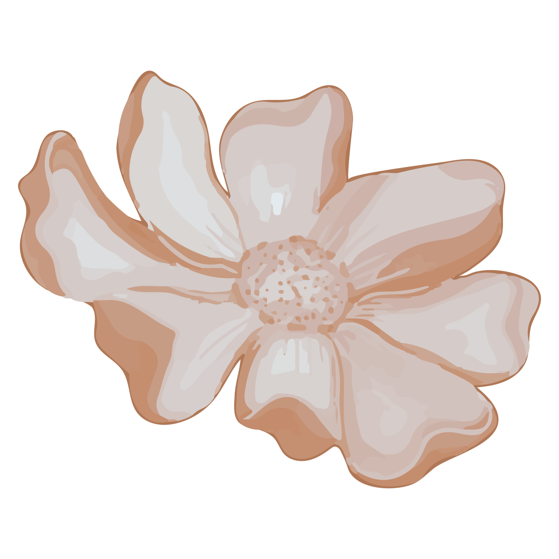 Free Watercolor Dried Flower, Brown flora clipart 11460988 PNG with