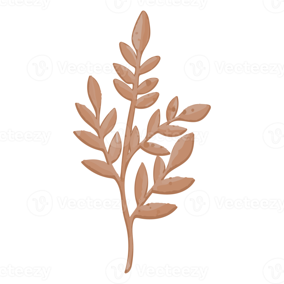 Watercolor Dried Leaf, Branches clipart png
