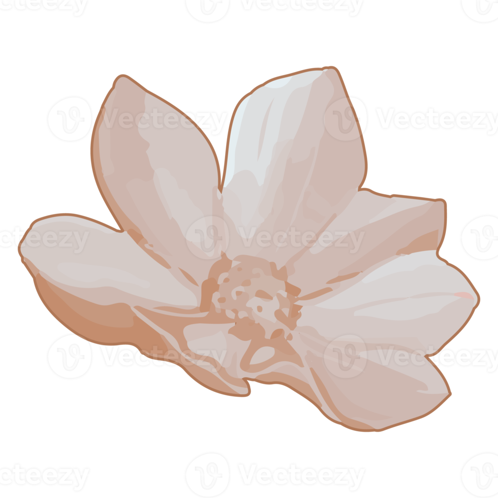 Watercolor Dried Flower, Brown flora clipart png