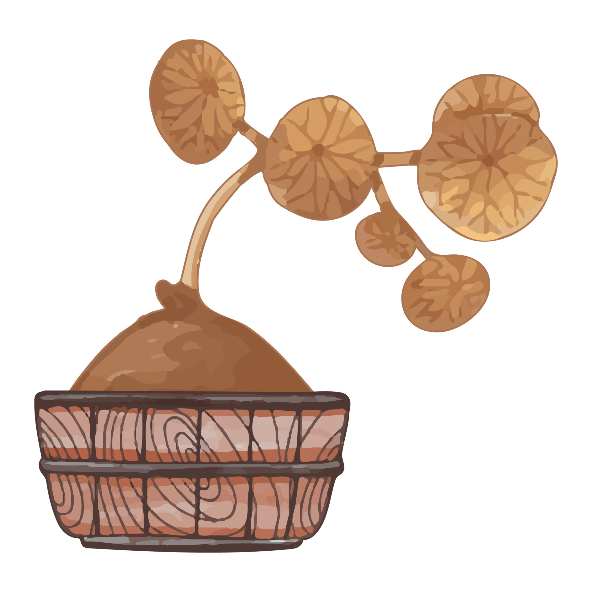 Free Watercolor Dried Flower in Pot, Brown flora clipart 11461020 PNG with Transparent Background
