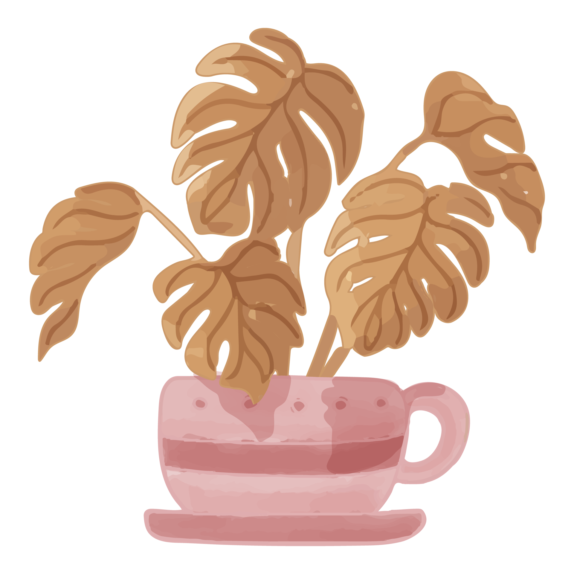 Free Watercolor Dried Flower in Pot, Brown flora clipart 11461026 PNG with Transparent Background