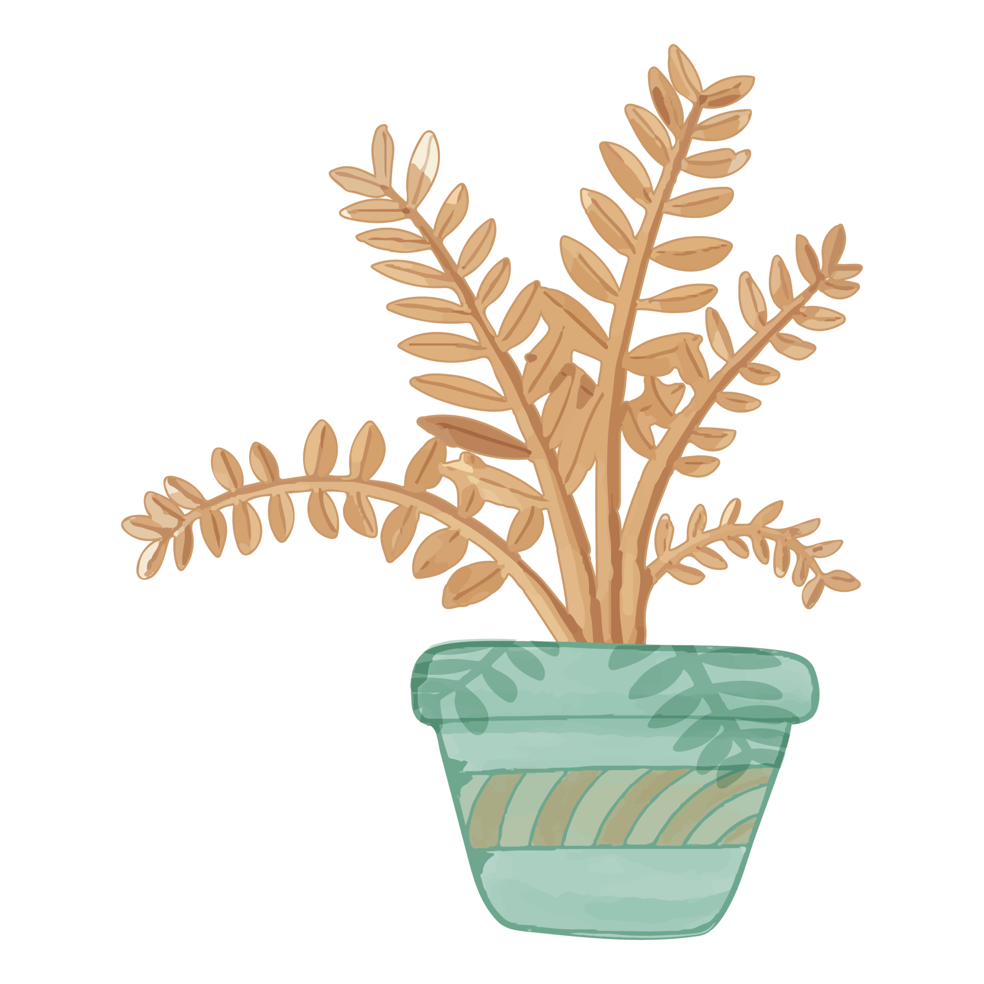 Watercolor Dried Flower in Pot, Brown flora clipart 11461031 PNG