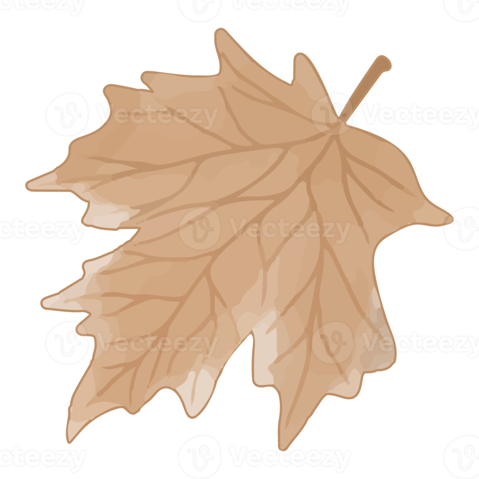 Watercolor Dried Leaf, Branches clipart png