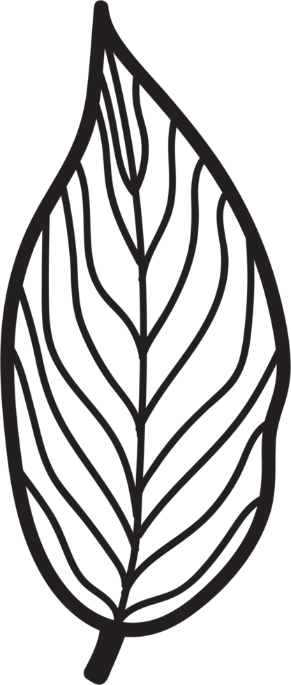 simplicity leaf freehand continuous line drawing flat design. png