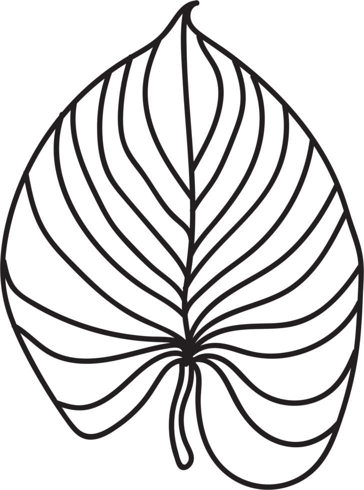 simplicity leaf freehand continuous line drawing flat design. png