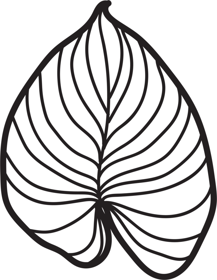 simplicity leaf freehand continuous line drawing flat design. png