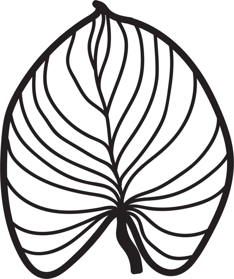 simplicity leaf freehand continuous line drawing flat design. png