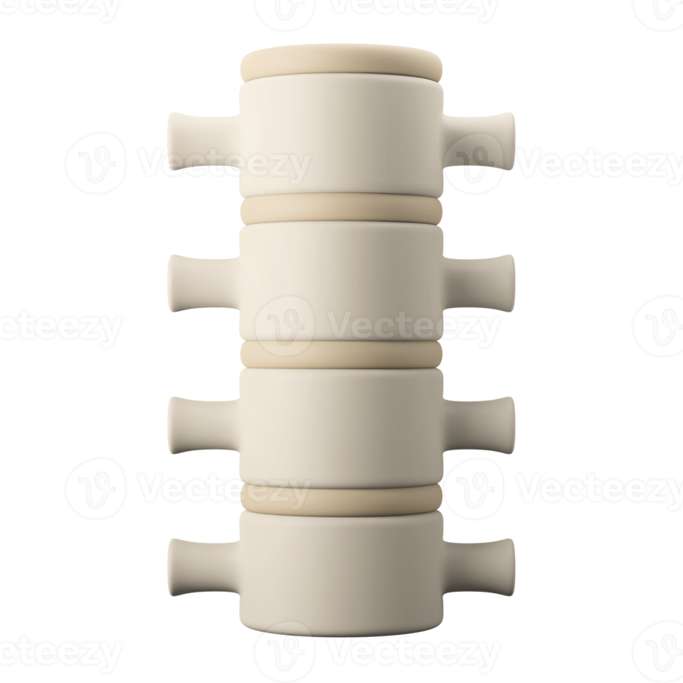 menschliche Wirbelsäule Knochenstruktur Anatomie 3D-Symbol Illustration png