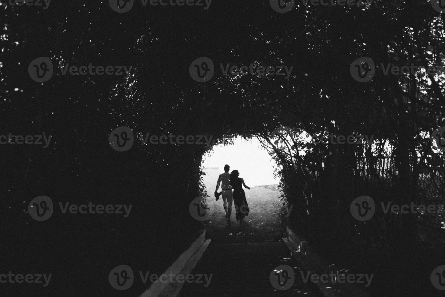 couple walking through the tunnel of trees photo