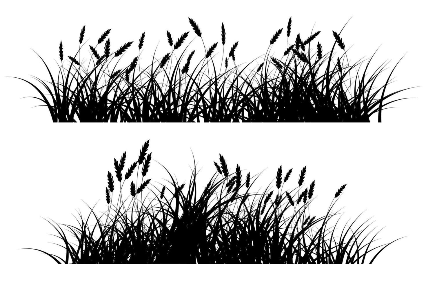 reeds grass silhouette vector