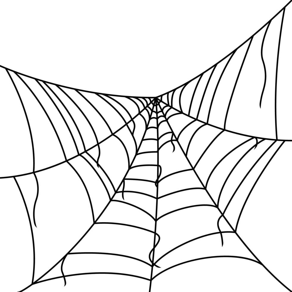 Spider web isolated on white background vector