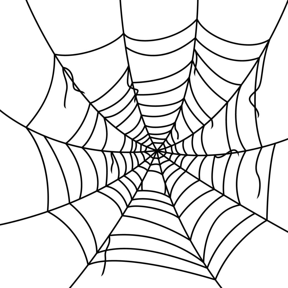 Spider Web Stock Illustration - Download Image Now - Spider Web, Vector,  White Background - iStock