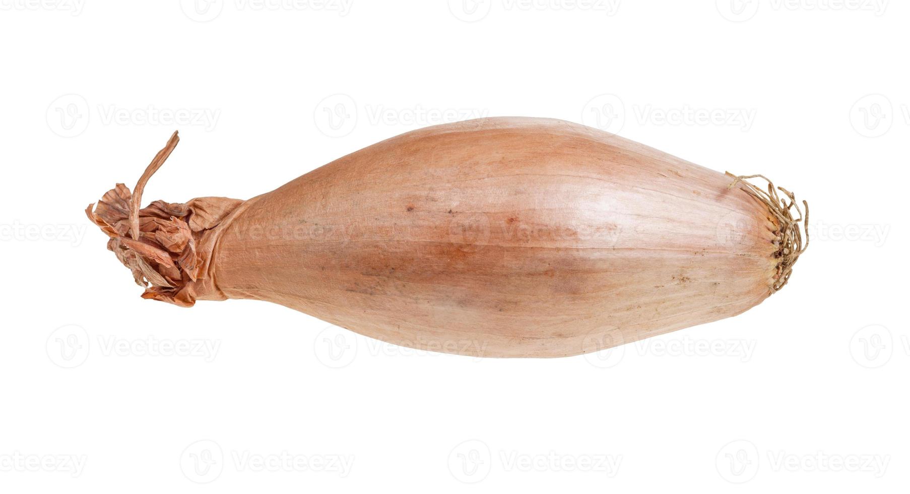 ripe bulb of shallot onion isolated on white photo