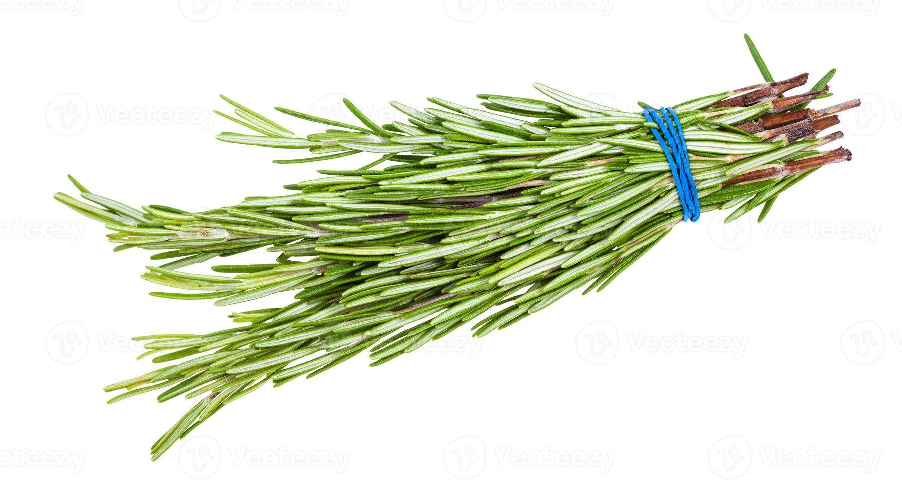 bunch of fresh rosemary herb isolated on white photo