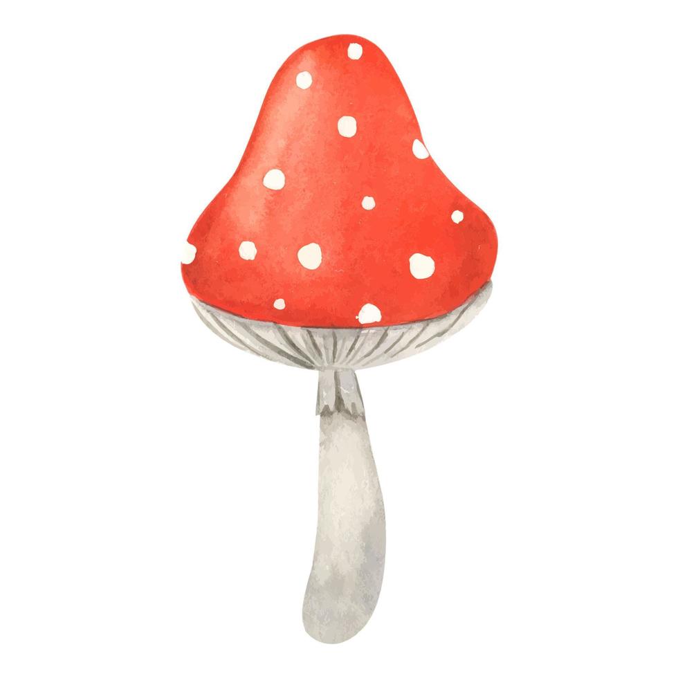 hongo agárico de mosca. ilustración de acuarela hongos venenosos dibujados a mano amanita muscaria. agárico de mosca grande rojo con manchas blancas. un hongo peligroso venenoso para hacer pociones vector