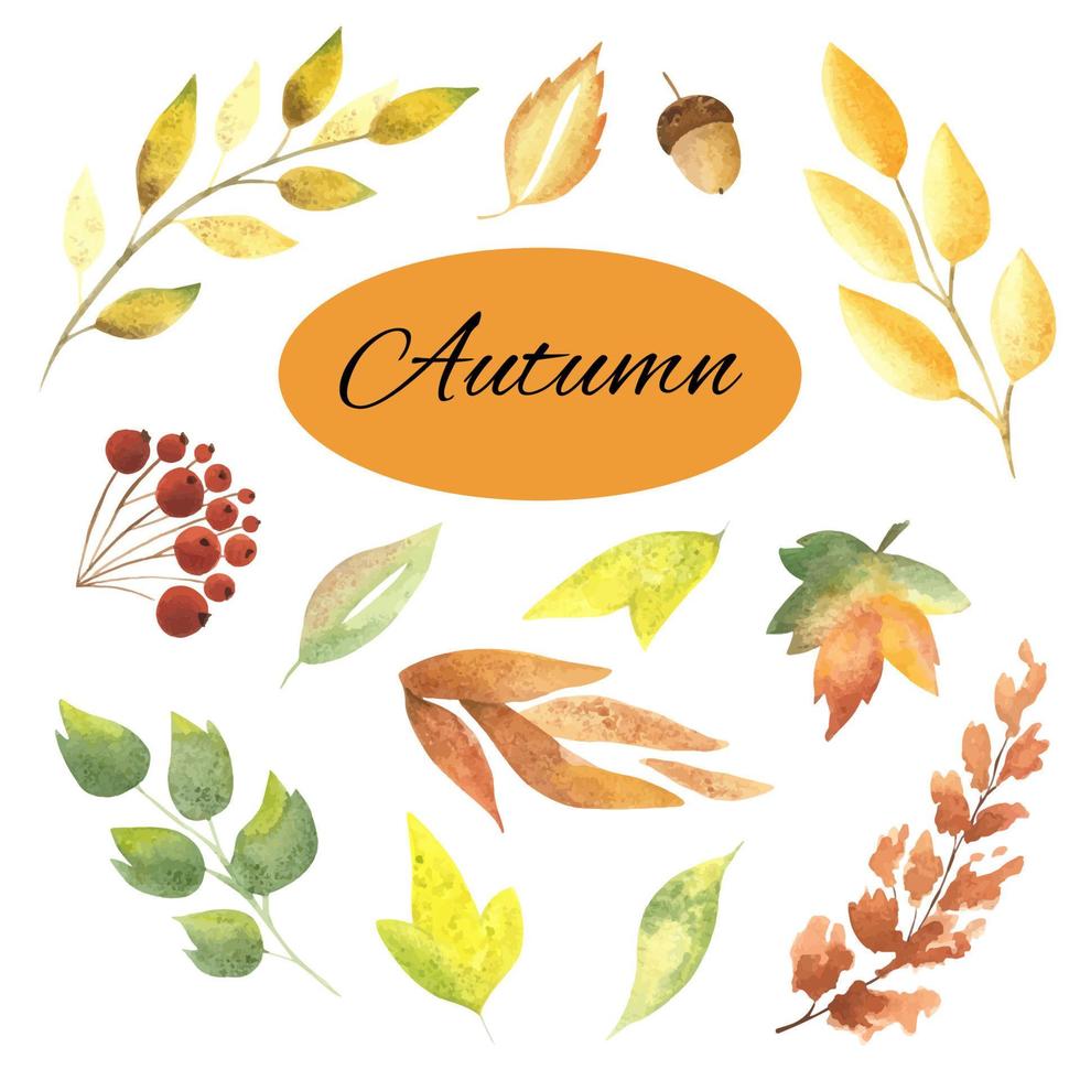 Watercolor set of beautiful colorful autumn leaves in vector. autumn illustration hand-drawn. highlighted on a white background . Suitable for autumn design vector